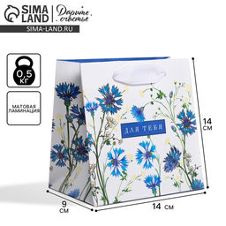 Цена за 3 шт. Пакет подарочный ламинированный квадратный, упаковка, «Для тебя», 14 х 14 х 9 см