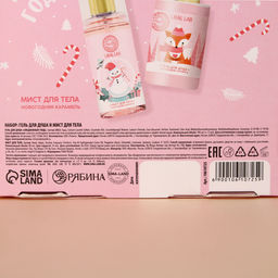 Подарочный набор новогодний URAL LAB Рождественская почта: гель для душа 100 мл и мист для тела 88 мл