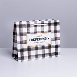 Пакет ламинированный Сильному, MS 23 х 18 х 8 см