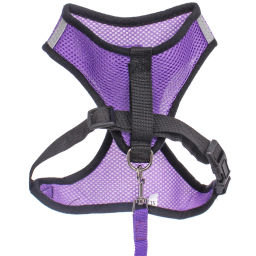 Цена за 2 шт. Шлейка с поводком 118см "Sweet puppy" размер ХL, цвет фиолетовый