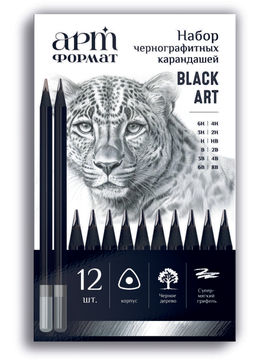 Набор карандашей д/скетчинга, корпус дерев. АРТформат BLACKWOOD 12 шт метал.кор.