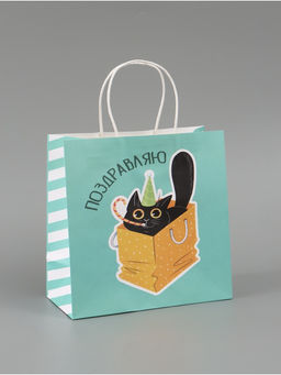 Цена за 2 шт. Пакет подарочный «Поздравляю», 22 × 22 × 11 см