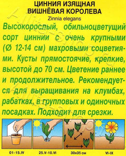 Цинния Вишневая королева 0,3г (Аэлита)