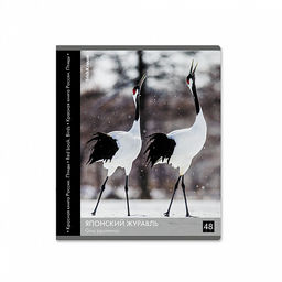 Цена за 5 шт. Тетрадь общая ученическая ErichKrause Энциклопедия, Красная книга России. Птицы, 48 листов, клетка, глянцевая ламинация_MIX-PACK  фото 7