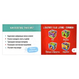 Карточки с картинками для детей. Серия Зумики арт. 58471 ФРУКТЫ И ОВОЩИ - Феникс+ фото 6