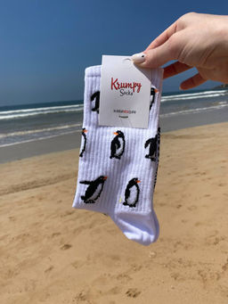 Носки р.40-45 TxT Пингвины - Krumpy фото 4