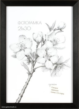 Фоторамка 40х50 /ZR208A-22 / ф