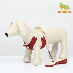 Комплект с мягкой шлейкой Клетки, размер M, поводок, 120 х 1,5 см, ОГ 34-66 см, красный