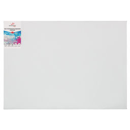 Холст грунтованный на подрамнике VISTA-ARTISTA PLMG-6080 100% лён 60 х 80 см 390 г/кв.м 2 шт Залесский среднезернистый