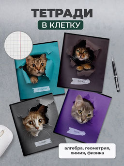 Комплект тетрадей 48 л. А5 клетка/линия, на скрепке,ЛЮБОПЫТНЫЙ КОТИК ,Schoolformat - Buro фото 3