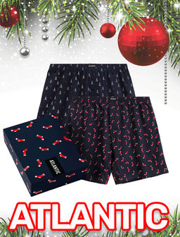 ATLANTIC 2GMB-010 Трусы боксеры Socks - набор 2 шт. темно-синий