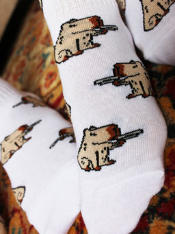 Носки р.40-45 TxT Капибара - Krumpy фото 3