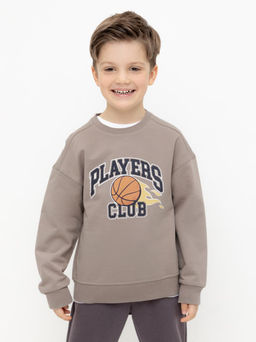 КР 302392/коричневый джемпер (свитшот) для мал