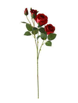 Цветы искусственные "Роза Августина галант" d-6 см 55 см, красный