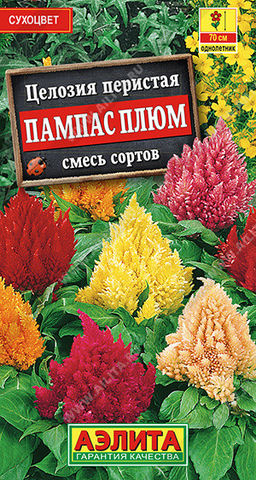 1865A Целозия перистая Пампас Плюм, смесь сортов 0,3гр