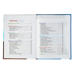 Цена за 2 шт. Детская энциклопедия «Кошки»