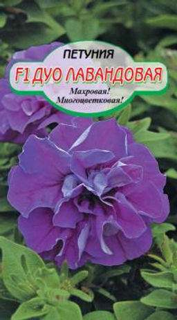 ДУО Лавандовая F1 махр. мноцв. петуния 7 шт (ссс)