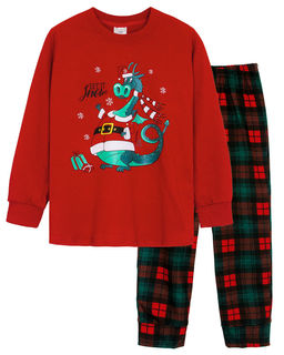 Скидка 10%! Пижама детская (джемпер, брюки) 91249 красный/зеленая клетка 895 Be Friends  фото 5