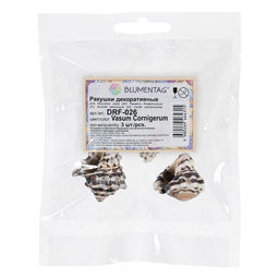 Blumentag / Zlatka DRF-026 Ракушки морские 3 шт. 6.3 см Vasum Cornigerum
