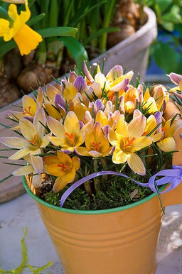 f658873458cfcc5c8672dade7f628203ecuw71p7r8m9wjuzzl