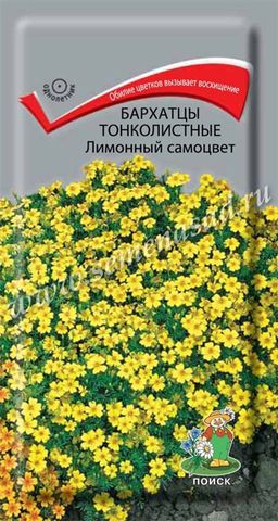Бархатцы (Тагетес) тонколистные Лимонный самоцвет (ЦВ) (1) 0,1гр.