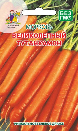 Морковь ВЕЛИКОЛЕПНЫЙ ТУТАНХАМОН F1 (ГЕЛЬ ДРАЖЕ!)  Сочная, нежная! Жаростойкая и лёжкая! Всегда хорошая урожайность!