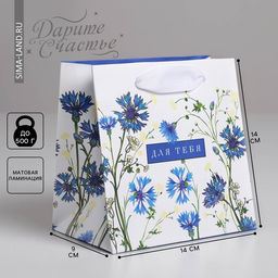 Цена за 3 шт. Пакет подарочный ламинированный квадратный, упаковка, «Для тебя», 14 х 14 х 9 см