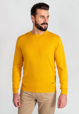 Джемпер мужской GREG G121-AC023 (горчица)