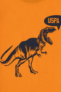 Erkek _ocuk Turuncu Ti__rt Sepette S_rpriz _ndirim - U.s. polo assn фото 3