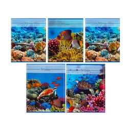 Комплект тетрадей из 5 шт (4 разные + 1 повторяющаяся МИКС), 36 листов, клетка, Океан, обложка мелованная бумага, блок №2, белизна 75% (серые листы) - Calligrata фото 2