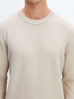 Bisiklet Yaka Erkek Triko Kazak