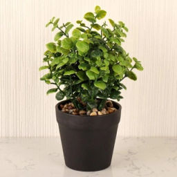 Цветочная композиция Зелень / 17051 /уп 12/108/ - Галеонтрейд фото 3