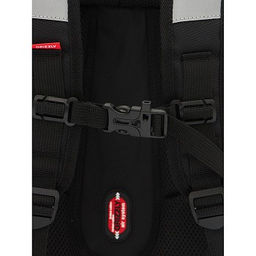 RAf-493-2 Рюкзак школьный - Grizzly фото 26