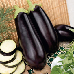 5010D Баклажан Галич 5шт