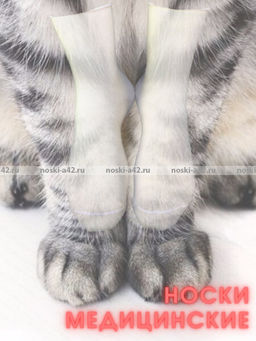 Цена за 5 пар. 5 ПАР - Ростекс (Рус-текс) носки медицинские женские Н-210 с лайкрой ассорти 25  фото 16