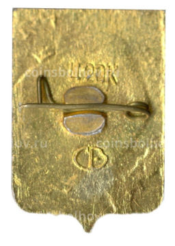 Значок Бийск