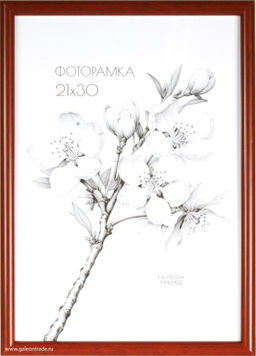 Фоторамка 21х30 / 1302A-033C /уп10