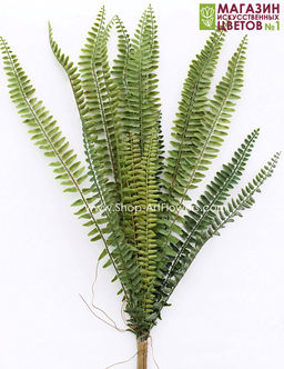 118 Папоротник 68 см