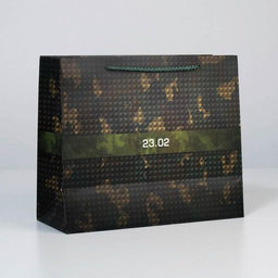 Цена за 2 шт. Пакет подарочный ламинированный, упаковка, С 23 февраля, ML 27?23?11.5 см