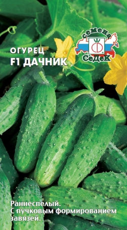 Огурец Дачник F1 0,2г (СеДеК)