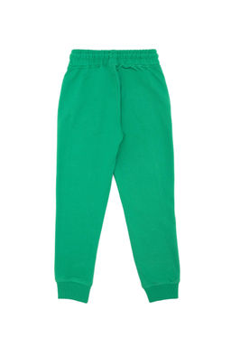 Детские зеленые спортивные штаны Неожиданная скидка в корзине - U.s. polo assn фото 4