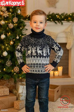 водолазки для мальчика с рисунком - Bruno фото 7