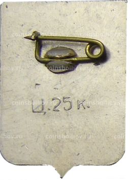 Значок Кострома