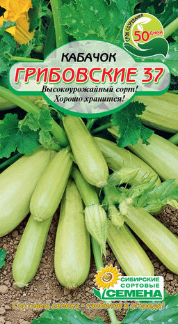 Грибовские 37 кабачок 1 гр (ссс) Р