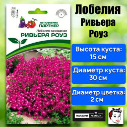 Лобелия каскадная Ривьера Роуз - Партнер фото 2