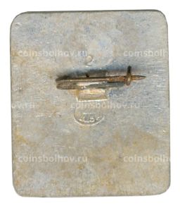 Значок Коломенское Домик Петра I