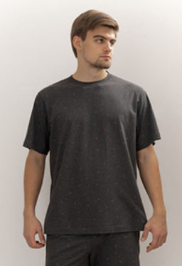 ФУТБОЛКА МУЖСКАЯ арт. 6523M-20272.4H-029