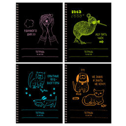 Тетрадь 96л. на спирали BG "Распорядок дня" линия (Т5гр96 12095)