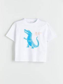 Dinozor Bask?l? Erkek ?ocuk Ti??rt