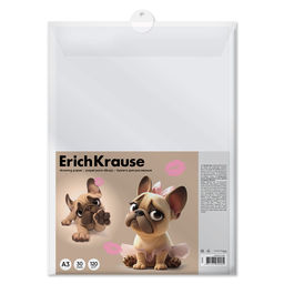 АКЦИЯ Цена за 1 шт. Бумага для рисования в пластиковой папке ErichKrause Frenchie, А3, 30 листов